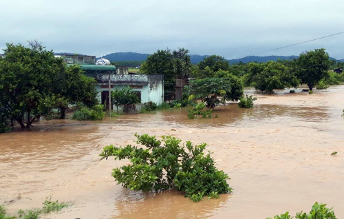 hang tram can nha o dak lak bi ngap do mua lon