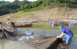 da nang tam dong cua phong mo benh vien phu nu sau tai bien san khoa