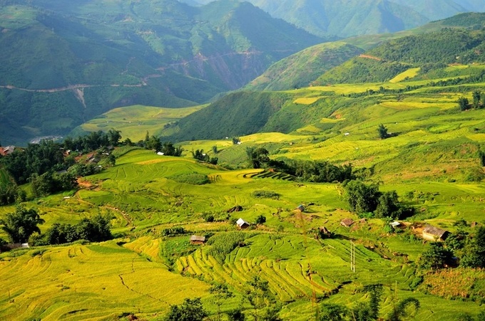 lich san lua chin o sa pa mu cang chai