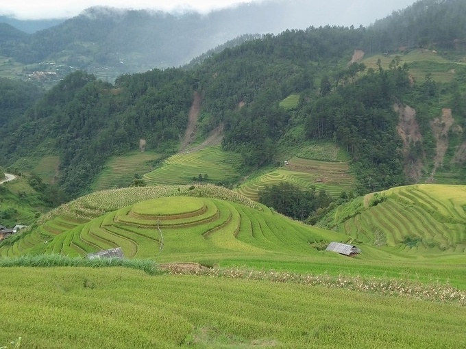 lich san lua chin o sa pa mu cang chai