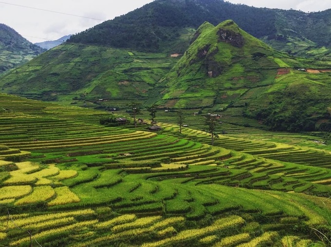 lich san lua chin o sa pa mu cang chai