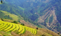 mua vang tu le dep ngo ngang khien ban muon quay luon