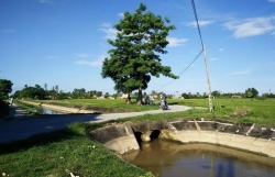 chuyen kho tin che ri do tam o hanh lang khu tap the ha noi