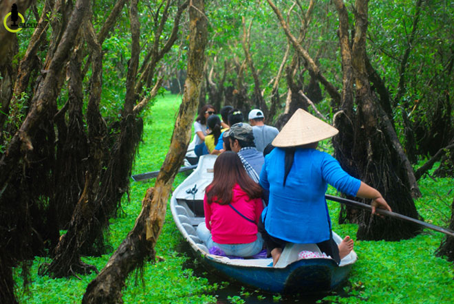 mua nay ve mien tay ghe rung tram tra su la nhat