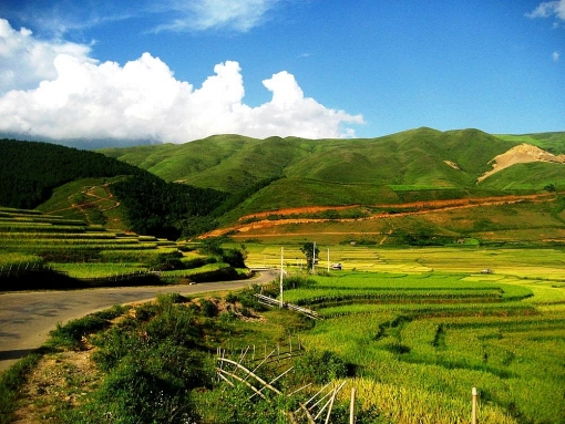 len lich cho chuyen mu cang chai mua lua chin