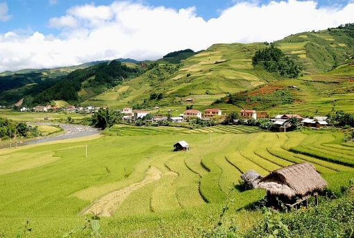 len lich cho chuyen mu cang chai mua lua chin