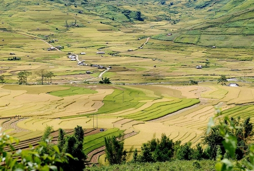 len lich cho chuyen mu cang chai mua lua chin