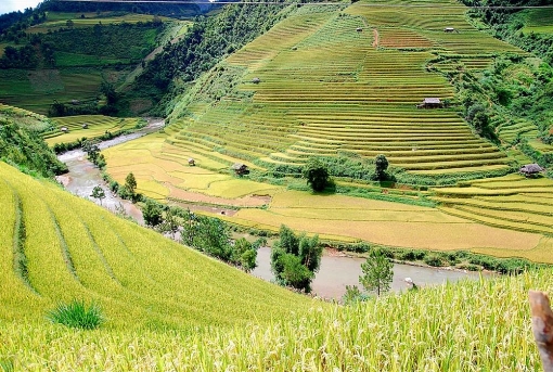 len lich cho chuyen mu cang chai mua lua chin