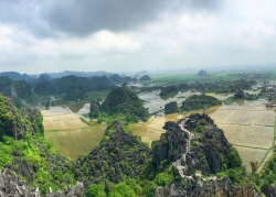 doi dua xanh ngat xanh giua nui non trung diep o ninh binh