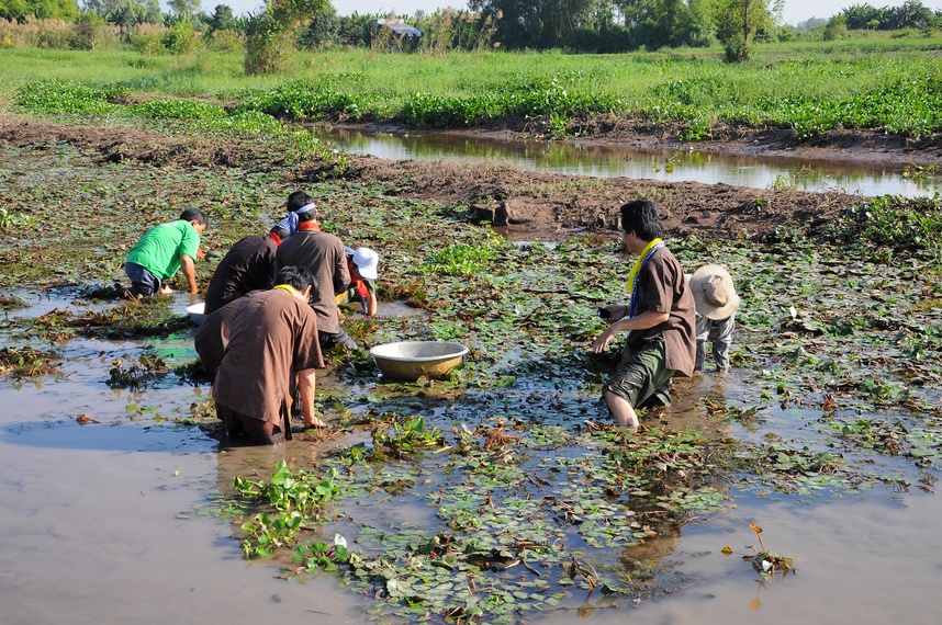 nhung trai nghiem khong the bo lo khi ghe mien tay vao mua nuoc noi