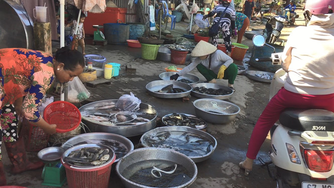 ngu dan mien tay kiem nua trieungay nho ca tom mua lu