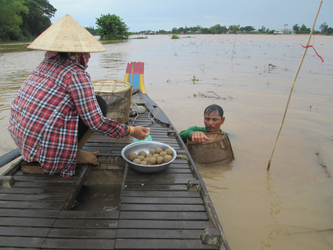 dang kiem tien trieungay ngu dan mien tay ngo ngac khi ca linh rot gia tham hai