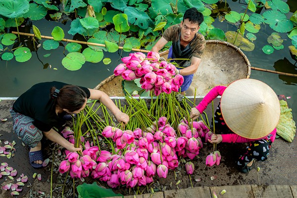 anh ngam ve dep nguoi ha noi qua cac buc anh