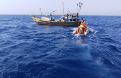 Khẩn trương cứu hộ tàu cá gặp nạn trên vùng biển Trường Sa