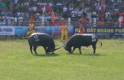 hoi dua bo cua dong bao khmer