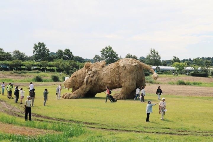 su tu khi dot rom ra khong lo xam lan dong que sau mua thu hoach