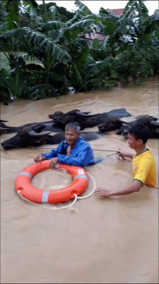 xot xa nhin canh nguoi dan chong choi lu lut song choi voi tren noc nha