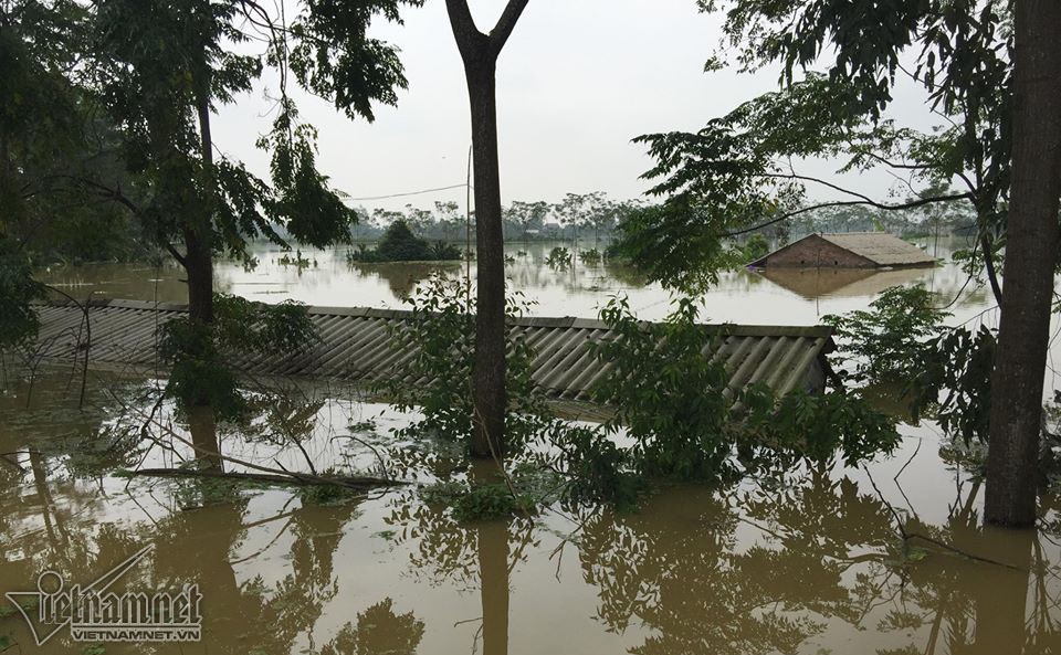 vo de chuong my canh song kho tin cua nguoi ha noi