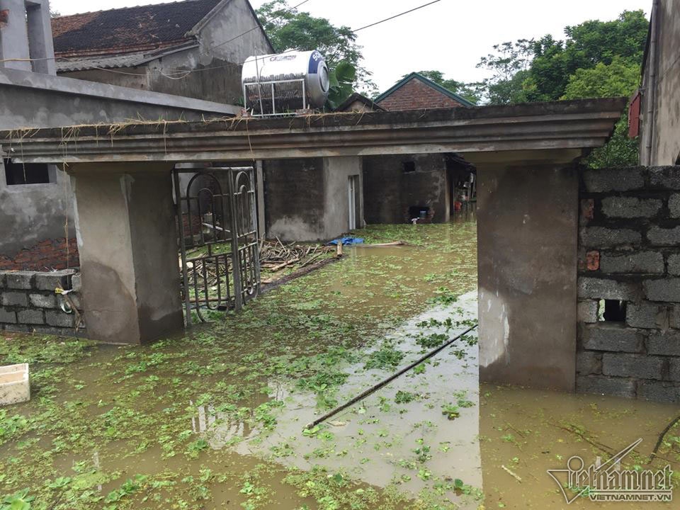 vo de chuong my canh song kho tin cua nguoi ha noi