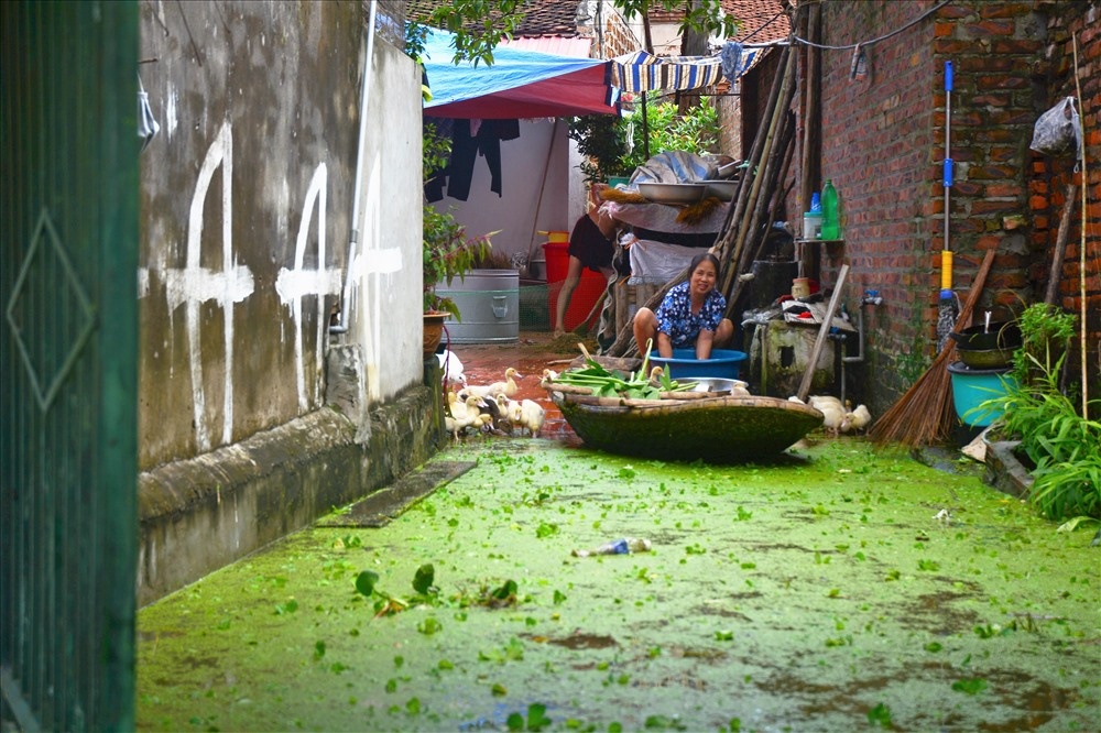 5 ngay sau vo de nguoi dan chuong my gio ra sao