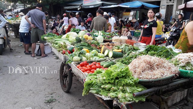 mua lon keo dai vua rau hu thoi mua rau xanh kho hon mua thit