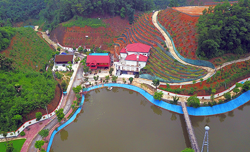 giam doc so tai nguyen yen bai bi de nghi ky luat nghiem minh