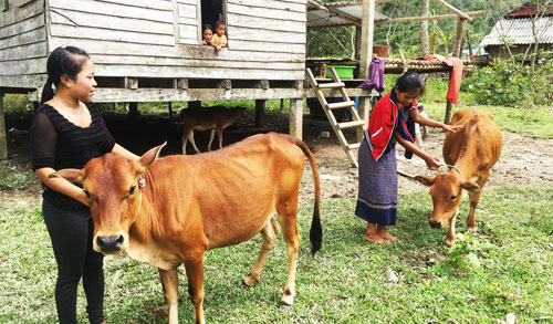 duoc cam tay chi viec nguoi dan su dung von vay hieu qua