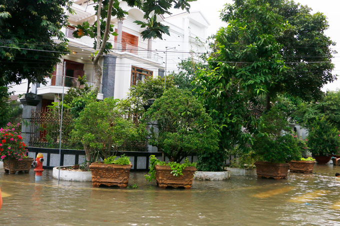 anh ngap nhieu tuyen duong o khu biet thu sang chanh nhat can tho