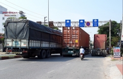 vu cay trong duoi long duong o quang ninh lo bay
