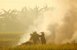 o nhiem ha noi moi nha khoa hoc nuoc ngoai danh gia chat luong khong khi