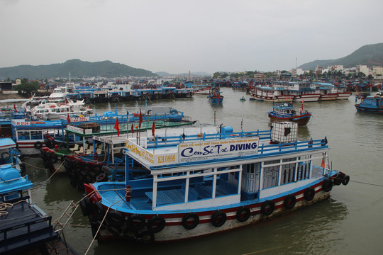 quan khu v huy dong 56000 chien si giup dan chong bao 12