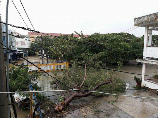 tu binh dinh den da nang cay nga la liet nhieu khu vuc bi lu chia cat