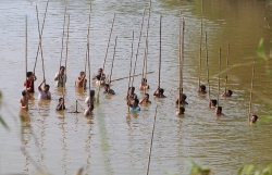 nuoi ech khong lo thu lai 3 ty dong moi nam