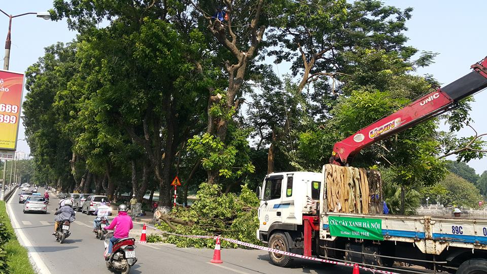 ha noi cam o to o duong kim ma dao ham tuyen nhon ga ha noi