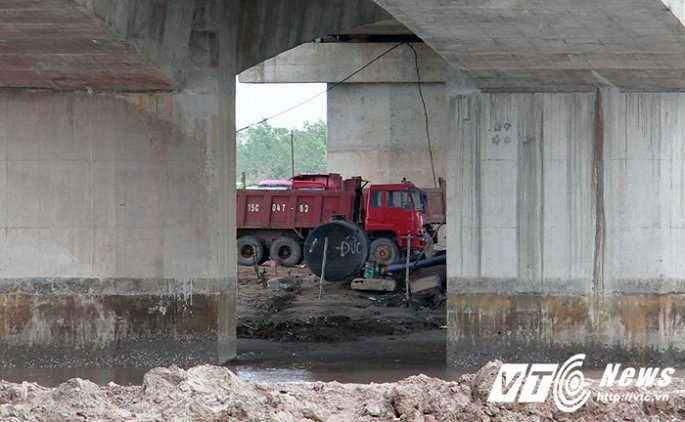 sau nha hang bai tap ket cat lai moc duoi gam cau cao toc ha noi hai phong