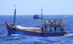 Bắt 3 tàu cá chở 190.000 lít dầu trái phép trên biển