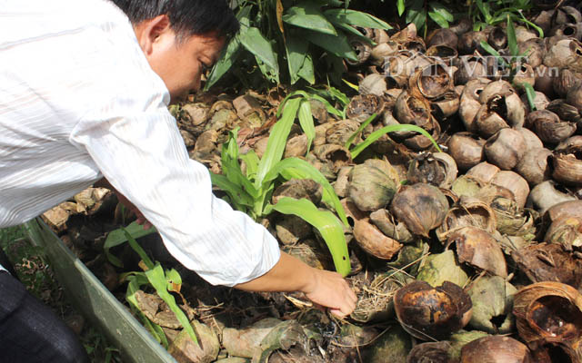 trieu phu con trung thuan duong bo cap gian nan moi thanh vua