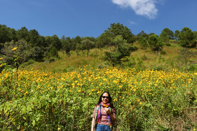 sac hoa da quy vang ruc phu khap cac cung duong da lat