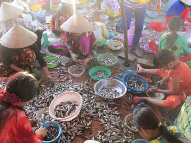 ca ao ra song cuoi mua nuoc noi mien tay ngu dan lai kiem them tien