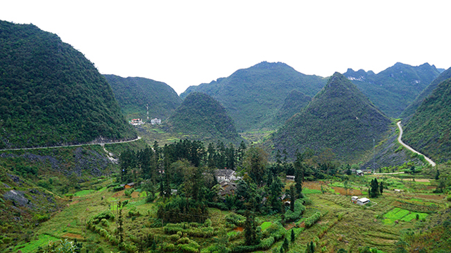 dinh thu 150 ty cua dong ho tung thong linh ca vung cao nguyen ha giang