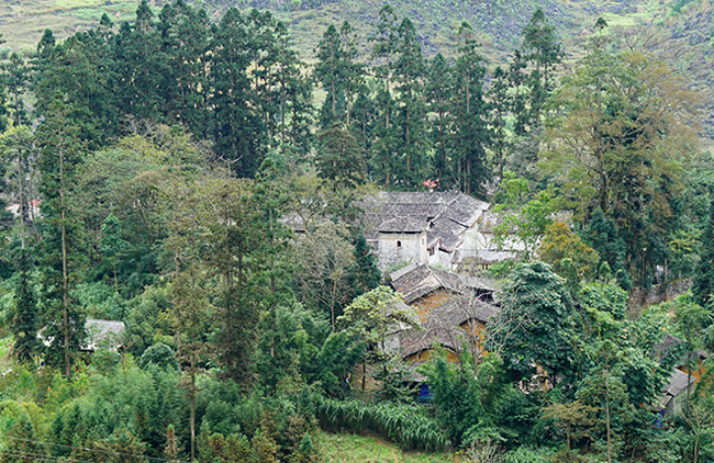 dinh thu 150 ty cua dong ho tung thong linh ca vung cao nguyen ha giang