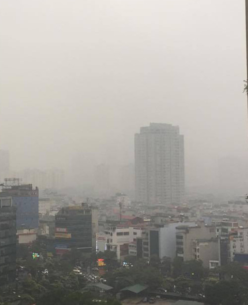 ha noi chim trong mua phun va suong mu