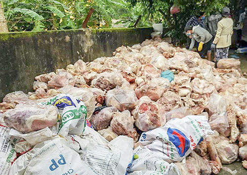 15 tan phe pham hoi thoi tap ket trong ngoi nha vang