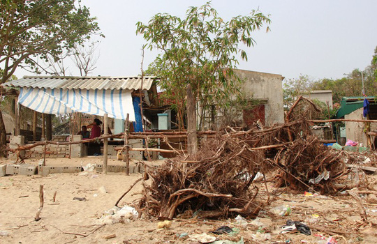 can canh bien thanh hoa bi ha ba nuot chung tung ngay