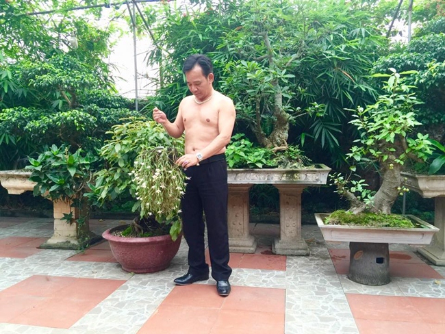 quang teo chien thang do gia san khung ai nhieu tien hon