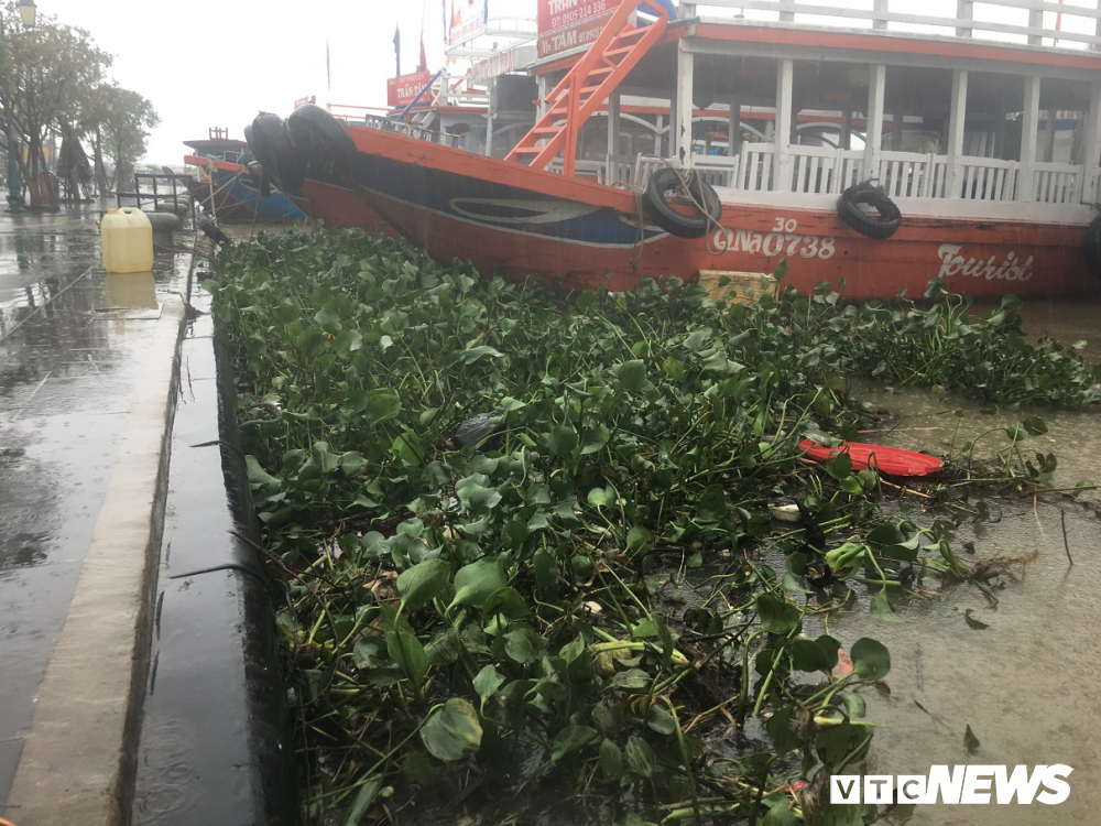 anh mua xoi xa cuon ca tan luc binh bua vay con song chay qua pho co hoi an