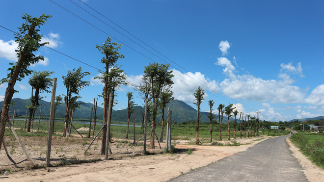 gia lai tuong khong co gi choi ma cung me man ngan ngo chang no ve