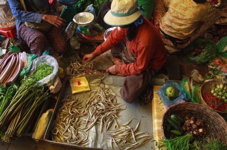 tet nay chua biet di dau choi tham khao ngay nhung diem den ngay gan viet nam nay