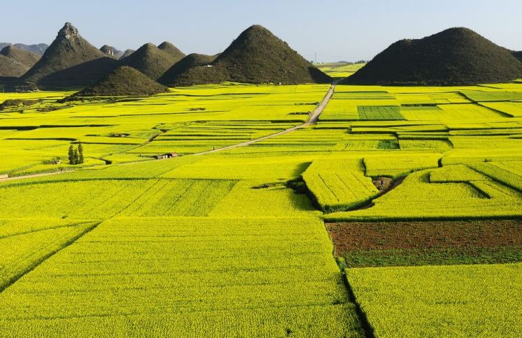 tet nay chua biet di dau choi tham khao ngay nhung diem den ngay gan viet nam nay