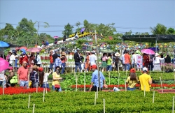 lang hoa tet xu bien